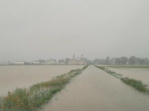 fields at the Stuttgart rice research center