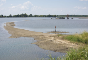 mississippi delta backwater flooding