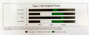 fungicide timing chart