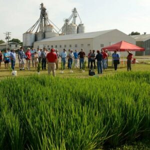 2019 arkansas rice college