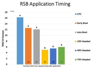 insecticide application timing for RSB
