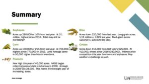 2021 arkansas planted acres
