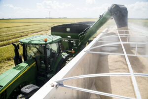 2020 arkansas rice harvest