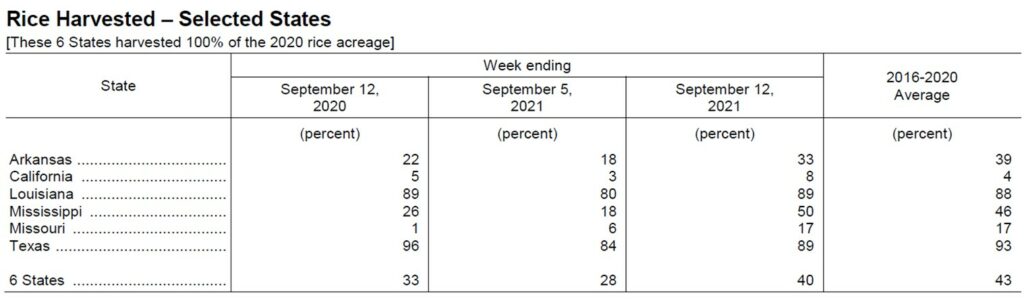 rice harvest progress