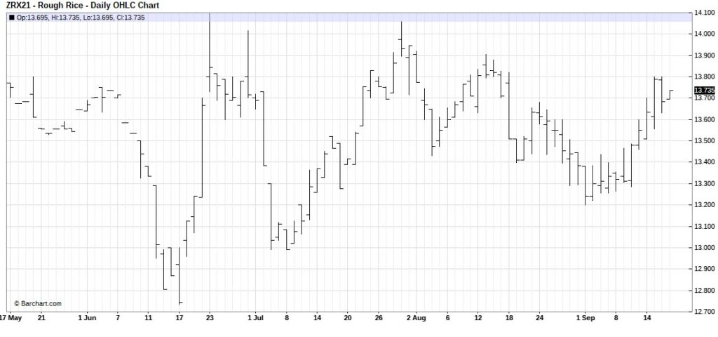 rough rice futures