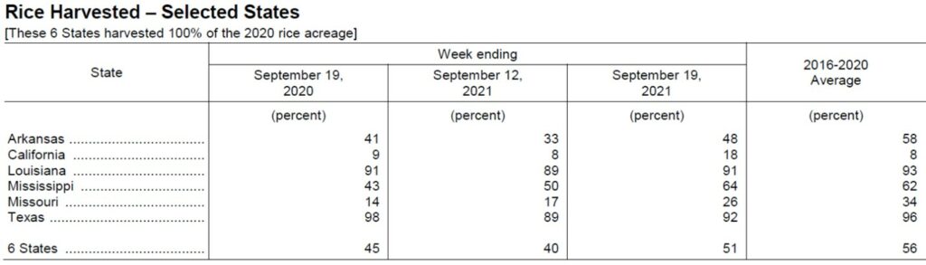 rice harvest progress chart