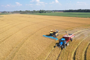 rice harvest near Stuttgart, Arkansas