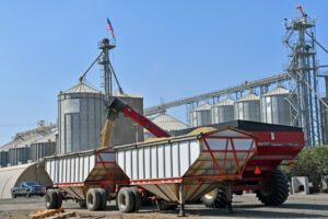 dumping grain carts - make a marketing plan before you begin