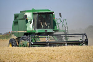 rice harvest near Biggs, California