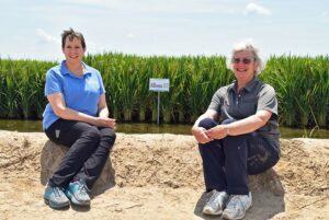 debbie wisdom karen moldenhauer