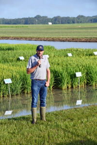 dr. adam famoso, lsu agcenter rice breeder