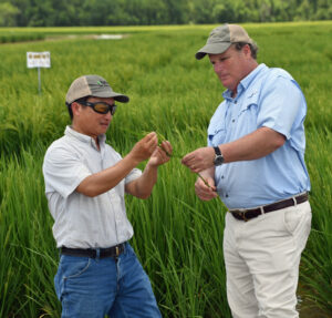 qiming shao randy ouzts