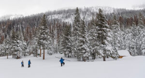 california snow survey