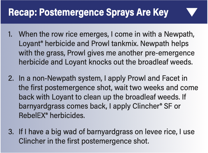 Recap: Postemergence Sprays are Key. 1. When the row rice emerges, I come in with a Newpath, Loyant® herbicide and Prowl tankmix. Newpath helps with the grass, Prowl gives me another pre-emergence herbicide and Loyant knocks out the broadleaf weeds. 2. In a non-Newpath system, I apply Prowl and Facet in the first postemergence shot, wait two weeks and come back with Loyant to clean up the broadleaf weeds. If barnyardgrass comes back, I apply Clincher® SF or RebelEX® herbicides. 3. If I have a big wad of barnyardgrass on levee rice, I use Clincher in the first postemergence shot.