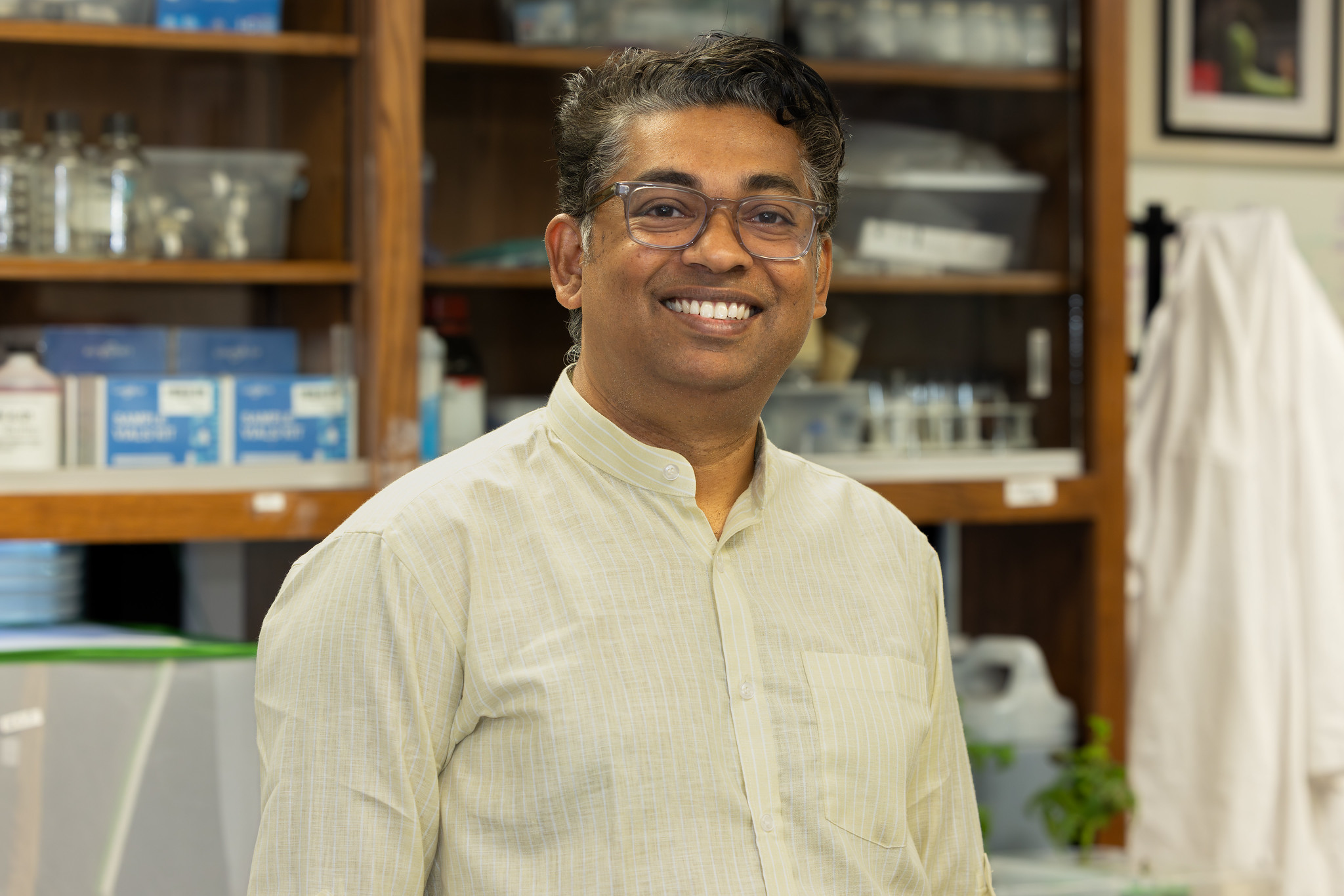 Researchers Document Rice Plants Trapping And Killing Fall Armyworm ...